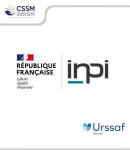 Lien vers INPI