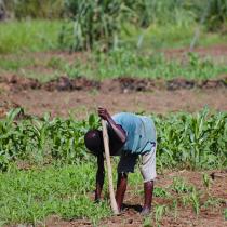 Exploitants agricoles